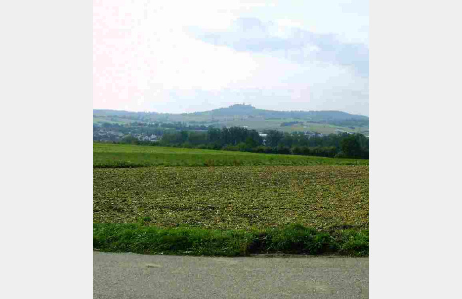 Blick auf den Steinsberg